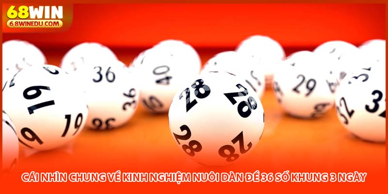 Kinh Nghiệm Nuôi Dàn Đề 36 Số Khung 3 Ngày An Toàn Nhất